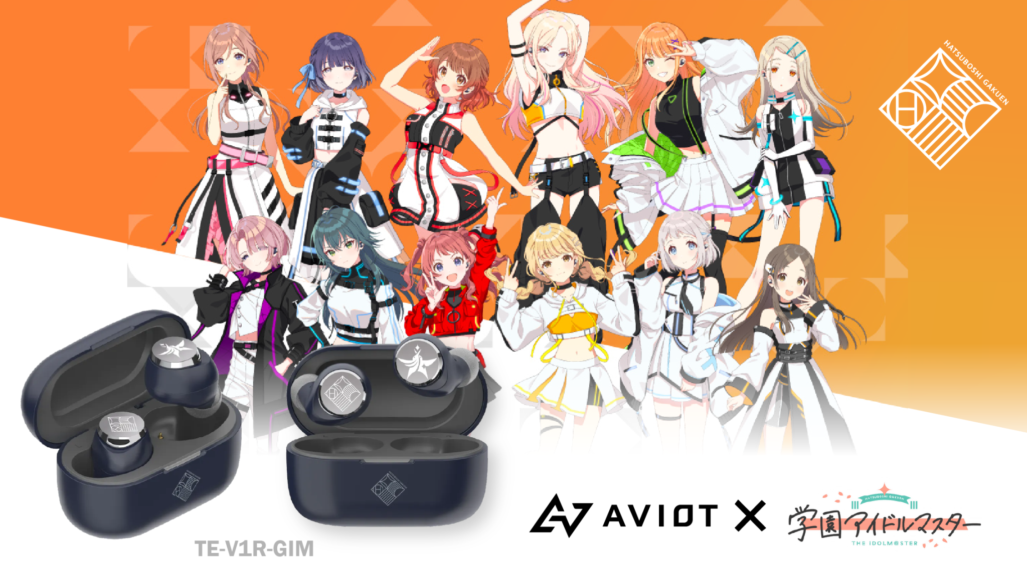 TE-V1R-GIM Website Cover 1